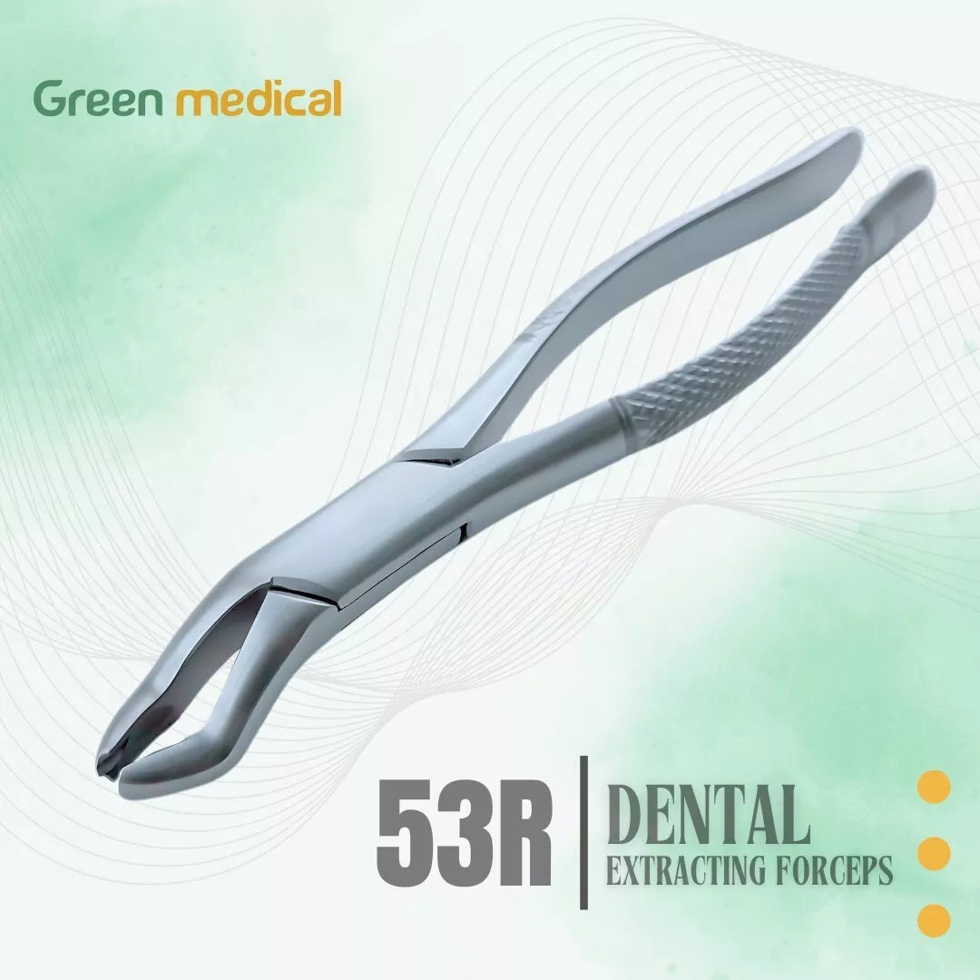 Dental Extracting Forceps # 53 R For Upper 1st & 2nd Molar Extraction